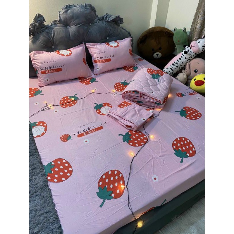 Bộ ga gối 💖m6/m8💖 drap giường poly, ga trải giường + 2 vỏ gối nằm đơn giản Bedding