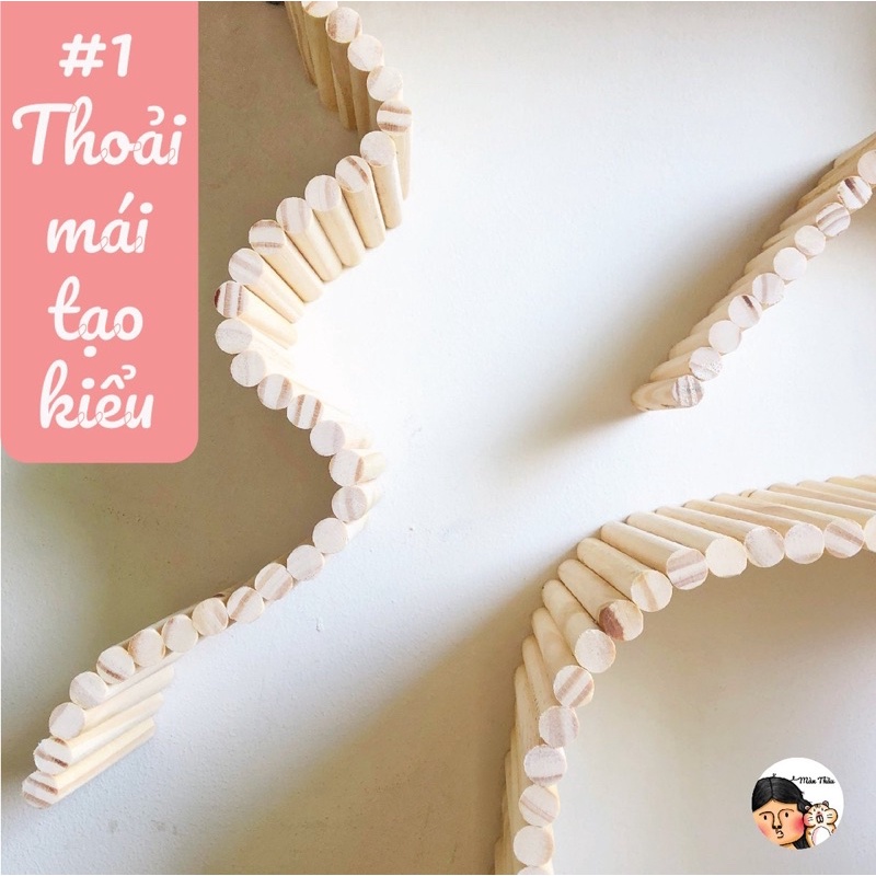 Thầu Thang Gỗ - Thang gỗ đủ kích thước dành cho Hamster
