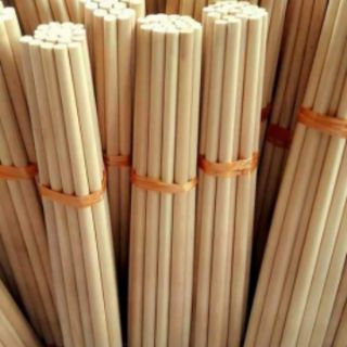 Đũa Gỗ Kim Giao núi đá