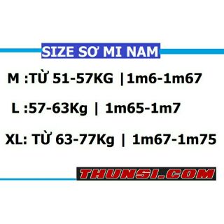 áO Lụa Kate Nam Họa Tiết Chim Ưng Trắng