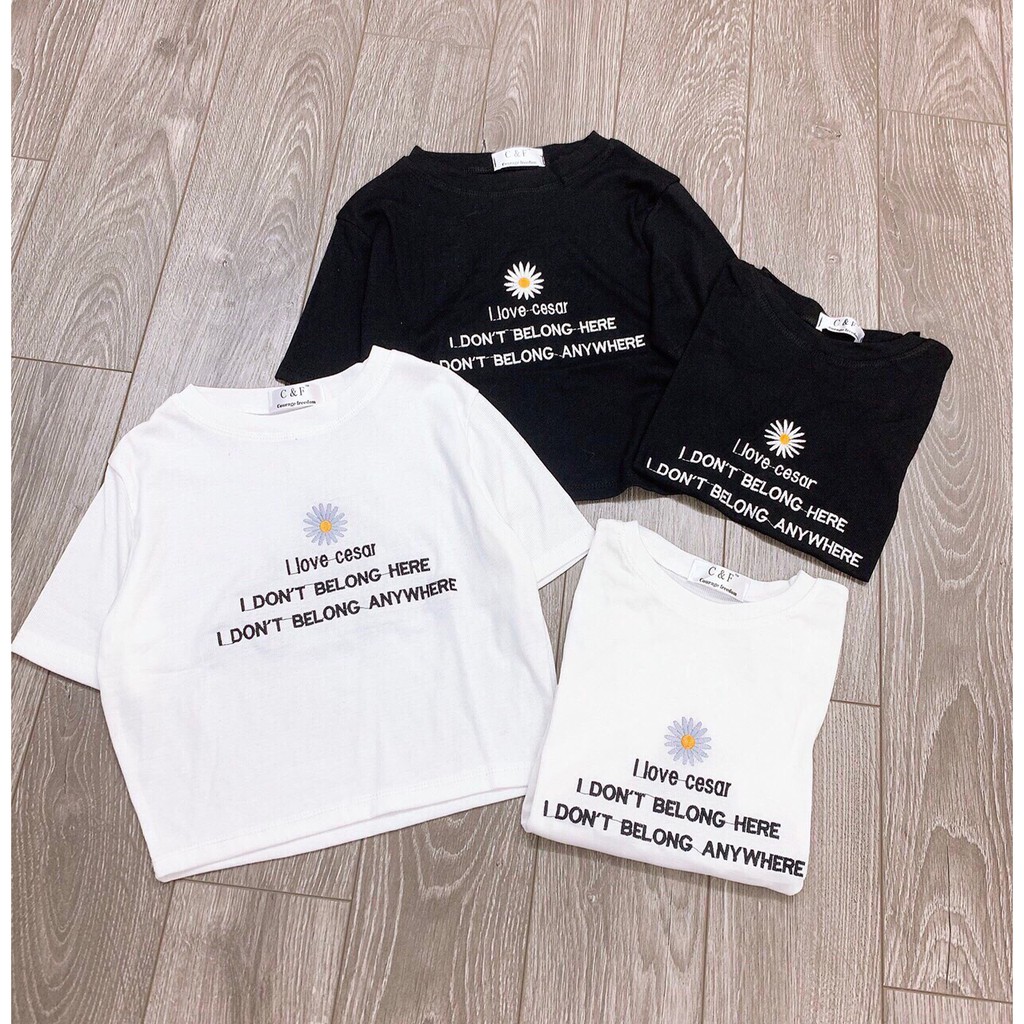 Áo croptop bông cúc xinh