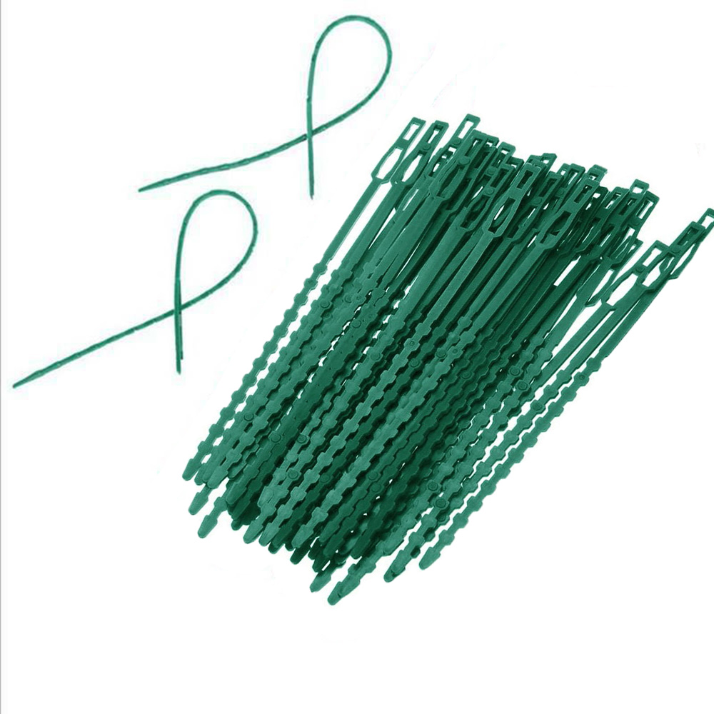 Set 50 Dây Rút Nhựa Có Thể Điều Chỉnh Hỗ Trợ Trồng Cây Dây Leo