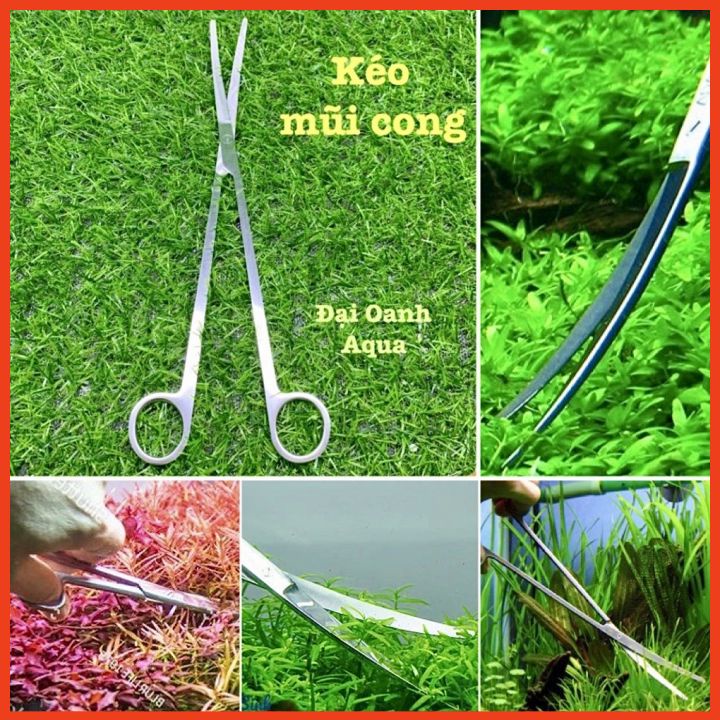 Kéo Innox Mũi Cong Cắt Tỉa Cây Thủy Sinh-Trang trí bể cá
