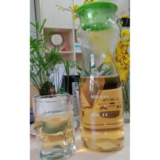 Bình nước thủy tinh Iwaki 1.2L