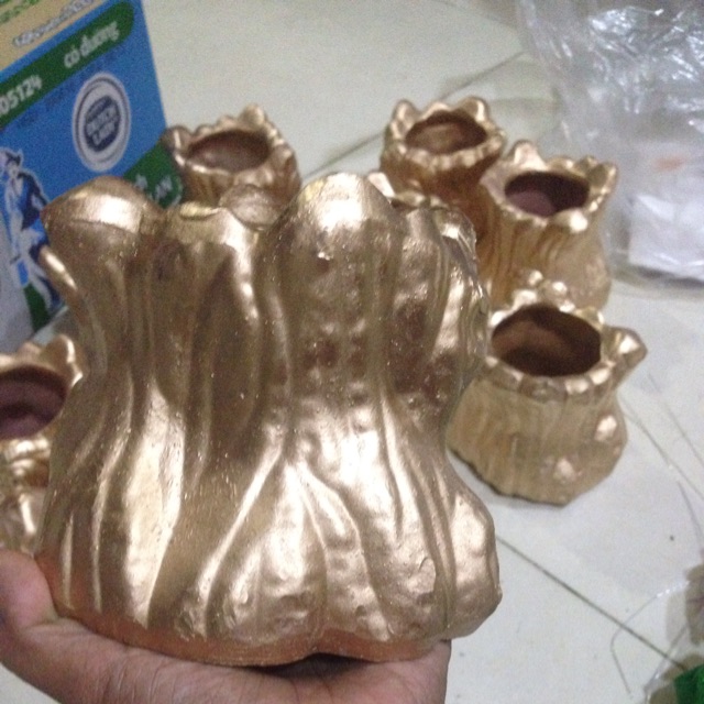 Chậu gốc cây vàng(mới vê)