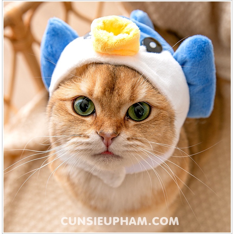 Nón đeo hình thú bông nón cá nướng cho chó mèo