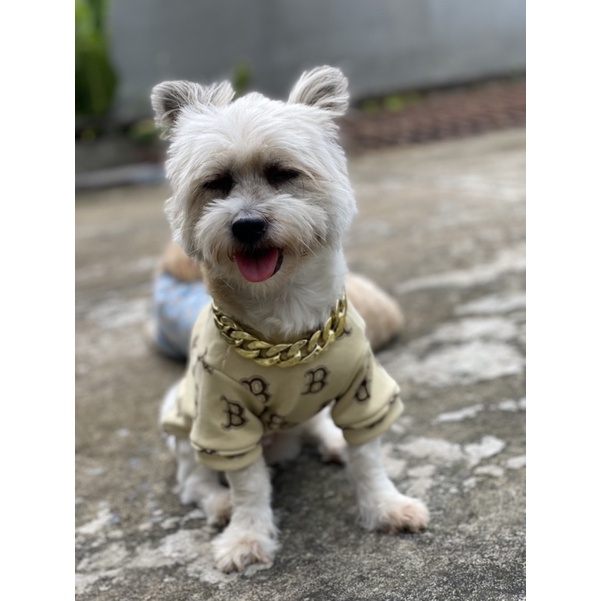 Áo nỉ cho chó mèo