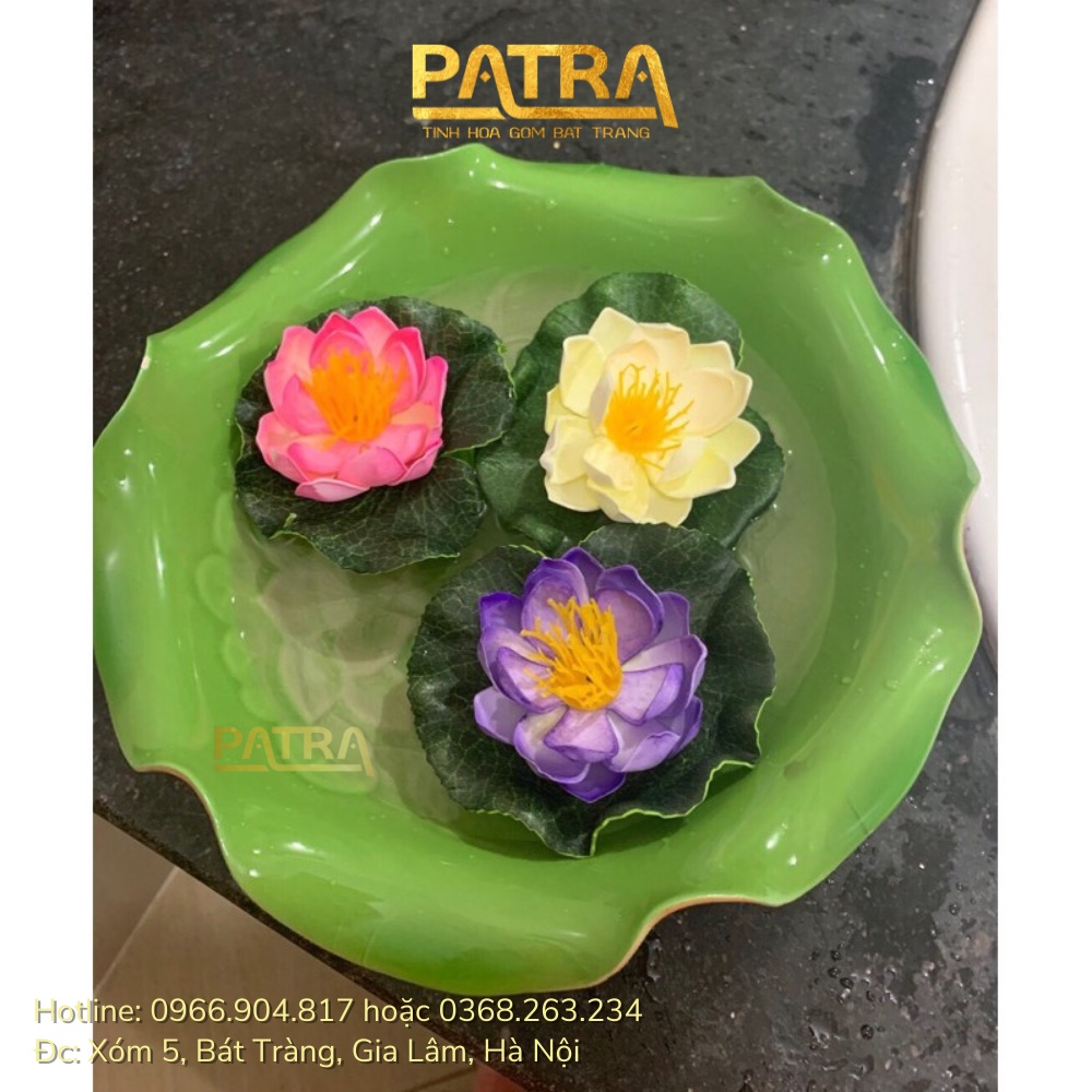 Hoa sen thả hồ trang trí tiểu cảnh, thả bát tụ thủy, thả hồ, thả bể cá