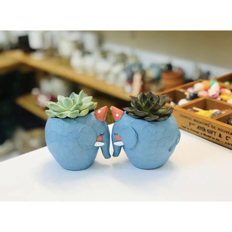 Chậu trồng cây con vật đáng yêu cute