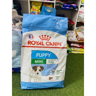 Thức Ăn Hạt Cho Chó Nhỏ Royal canin Mini Puppy 8kg
