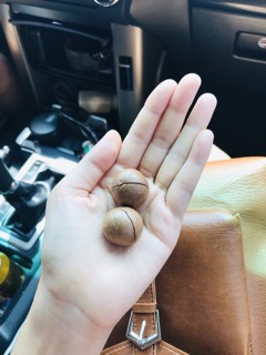 Macca Đắc Lắc