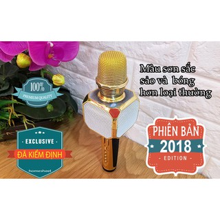 MICRO KARAOKE 3 IN 1 SHSD10