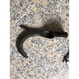 cu liêm đực dừa
