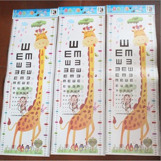 Decal Đo Chiều Cao