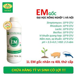 Em gốc. men vi sinh chuẩn của đại học nông nghiệp 1 hà nội. từ 1 lít em gốc sản xuất ra 40 lít thứ cấp chế phẩm sinh học