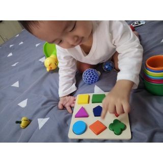 Đồ chơi montessori ghép hình học gỗ - đồ chơi an toàn trí tuệ cho bé