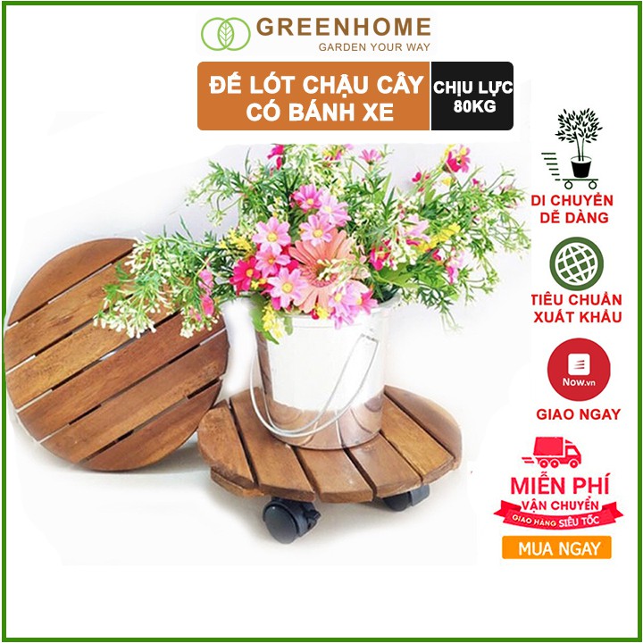 Đế lót chậu cây có bánh xe, hình tròn, màu nâu, bằng gỗ, chịu lực 80kg, R30xC8cm |Greenhome