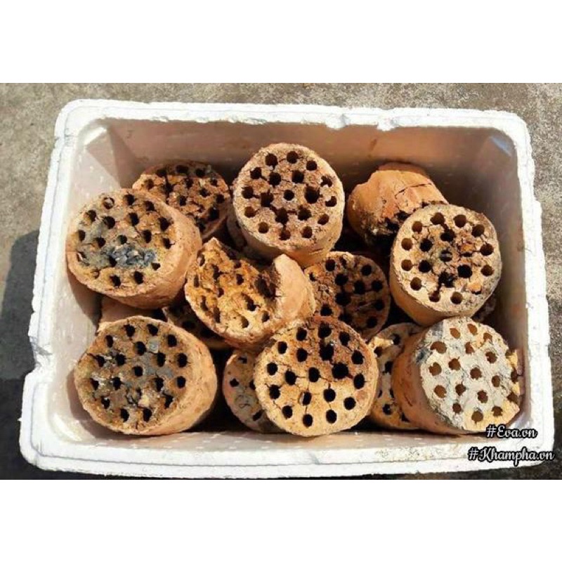 Xỉ than đã qua xử lý dùng vệ sinh chó, mèo, trồng cây, trồng sen đá,cây cảnh,lọc nước thuỷ sinh