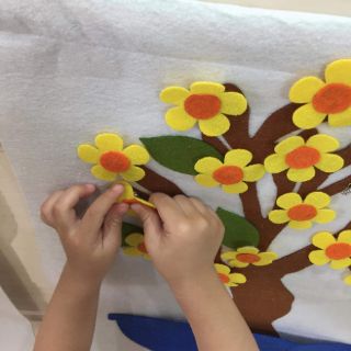 CHẬU MAI/ ĐÀO KỸ NĂNG