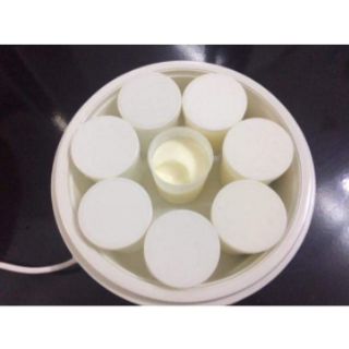Máy ủ sữa chua