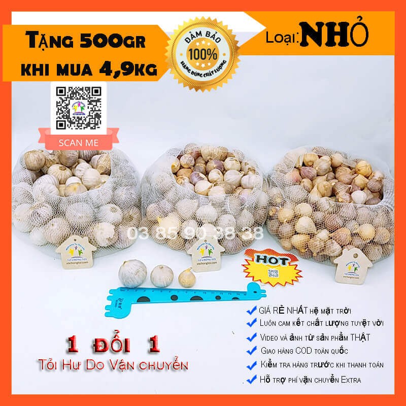 1 kg tỏi cô đơn mồ côi 1 nhánh Việt Nam loại NHỎ ngon lành bón phân sinh học cực tốt cho sức khỏe