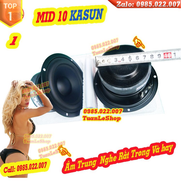 LOA TRUNG 10 KASUN NHẬP KHẨU E4019 - GIÁ 1 CẶP