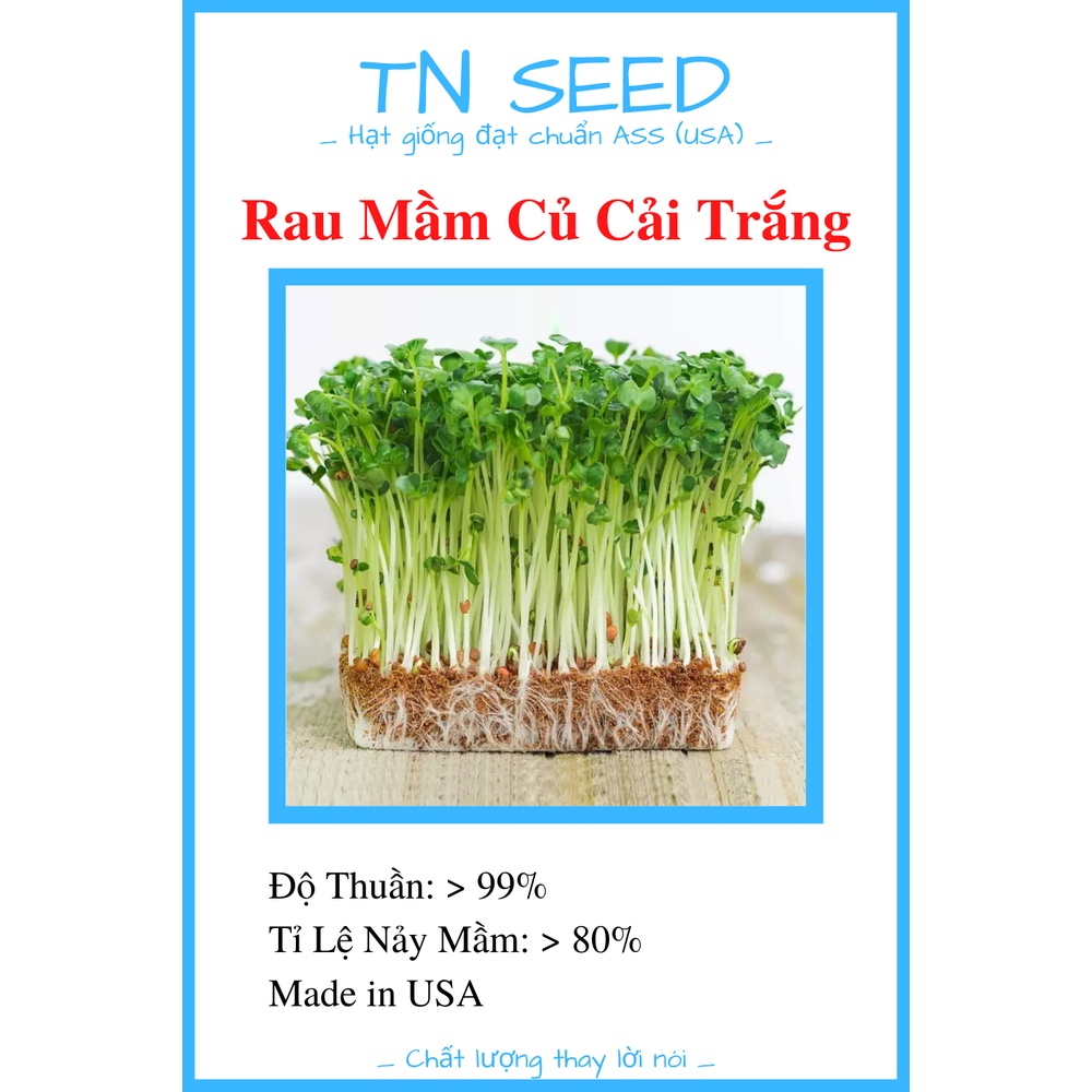 Hạt Giống Rau Mầm Củ Cải Trắng [100g]