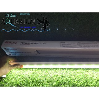 Đèn thủy sinh QuanLong AL - 80A ( cho hồ 80cm-90cm )