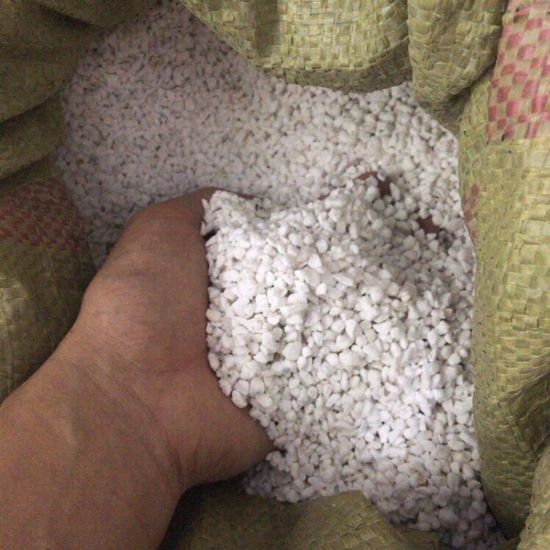 Đá perlite giá thể cho cây trồng sen đá, xương rồng và các loại cây khác