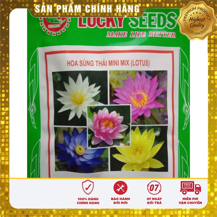 HẠT GIỐNG HOA SÚNG MINI THÁI 5 HẠT 5 MÀU