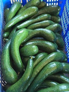 BƠ 034 (BƠ SÁP 034)