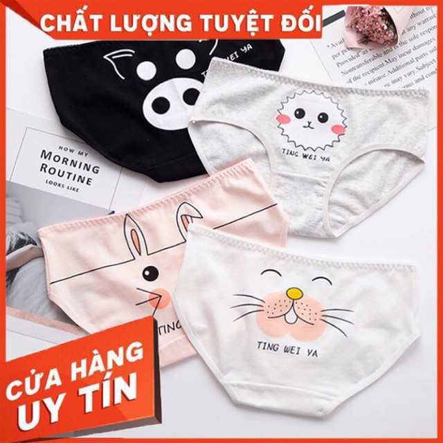 [ COMBO 5 QUẦN CHIP HÌNH THÚ ] Set 5 Quần Chip Dễ Thương - Đi Kèm Túi Zip - Phù Hợp Với Cả Da Nhạy Cảm - Dễ Sử Dụng !!!!