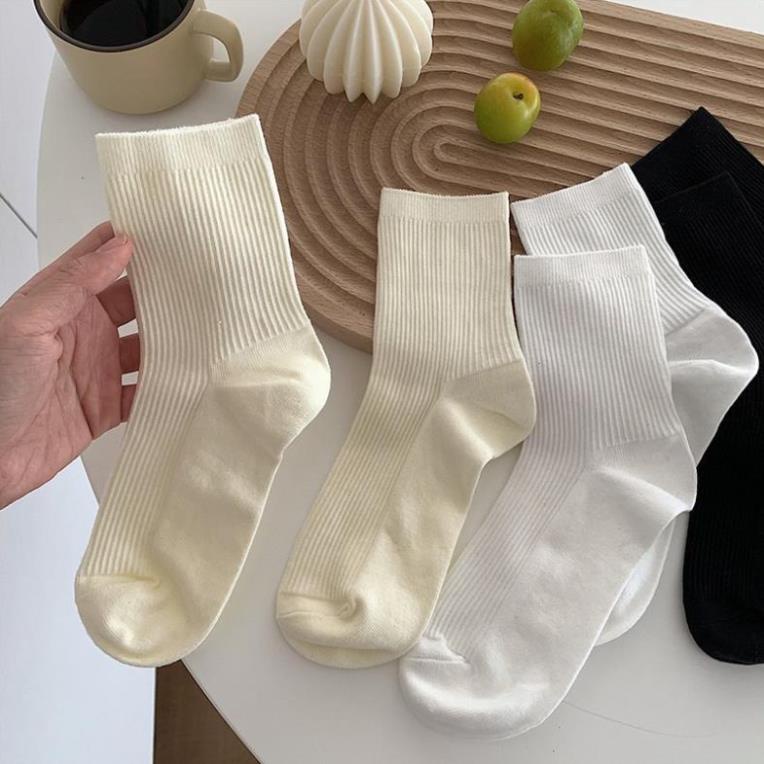 Vớ Màu Trơn Thời Trang Mùa Hè Xinh Xắn Cho Nữ