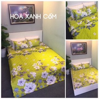[Freeship khách  HCM & HN] Chăn hè poly trần bông