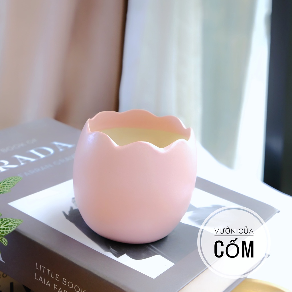 Chậu hình quả trứng  trồng sen đá , xương rồng , cây mini để bàn . Chậu có 4 màu kíck thước xấp xỉ  7 x 7 cm .