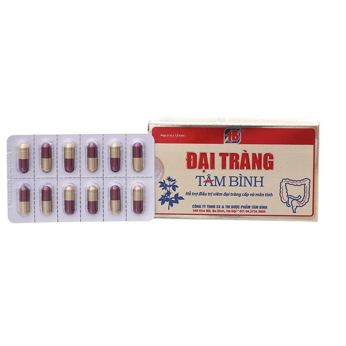 Đại Tràng Tâm Bình (Hộp 60 viên)