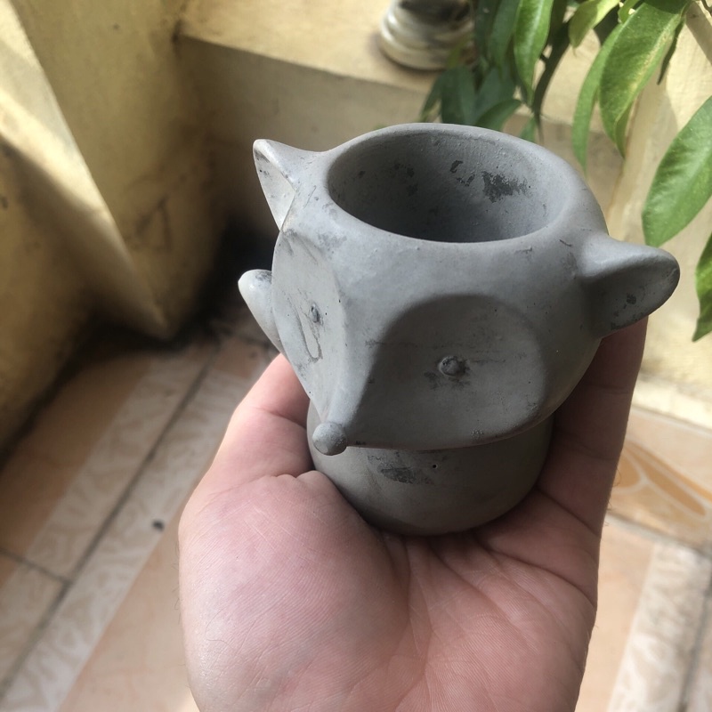 Chậu cây con cáo trồng sen đá, xương rồng
