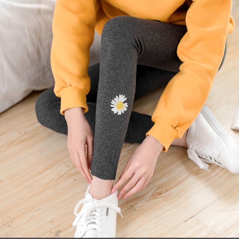 Quần Legging Hoa Cúc Mẫu Mới