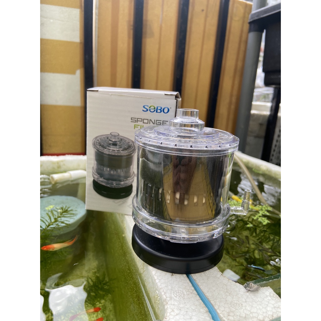 Bộ lọc vi sinh SoBO mini cho hồ cá