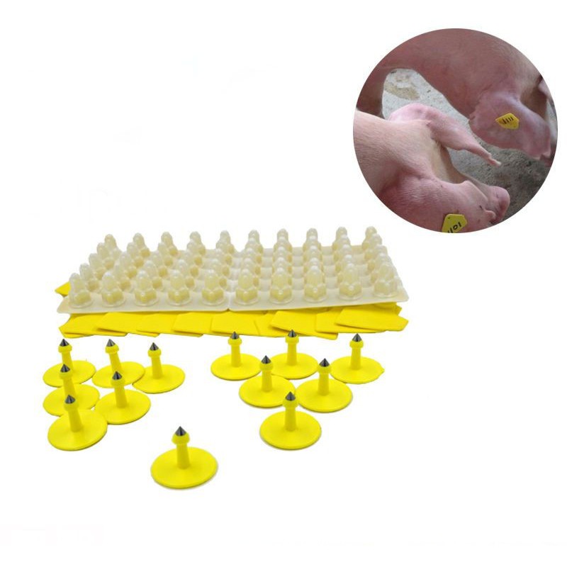 THẺ ĐEO TAI HEO LOẠI KHÔNG SỐ BỘ 10 THẺ