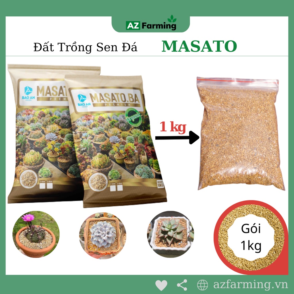 Đá Masato trồng sen đá nhập khẩu - gói 1kg - AZ Farming