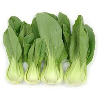 Hạt giống rau Cải chíp xanh