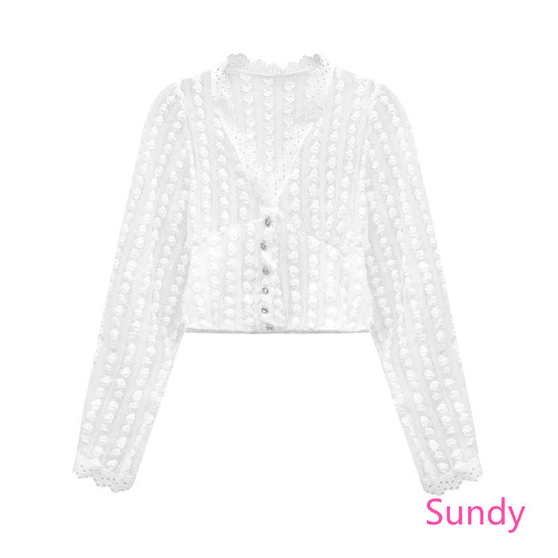 Áo Kiểu Tay Dài Cổ Chữ V Phối Ren Quyến Rũ Thời Trang Cho Nữ