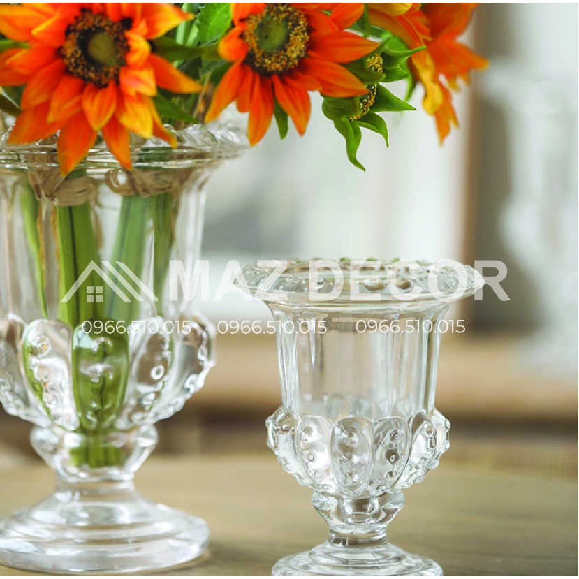 SALE GIÁ SỈ TẠI XƯỞNG Ly lọ cốc thủy tinh đựng để phật thủ, li cắm hoa, trồng hoa đẹp giá rẻ