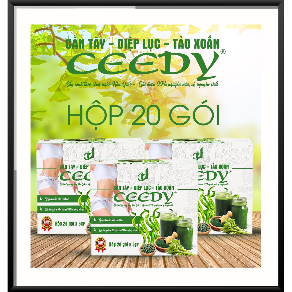 CẦN TÂY - DIỆP LỤC - TẢO XOẮN - CEEDY - KHÔNG HIỆU QUẢ HOÀN TIỀN (HỘP 20 GÓI)