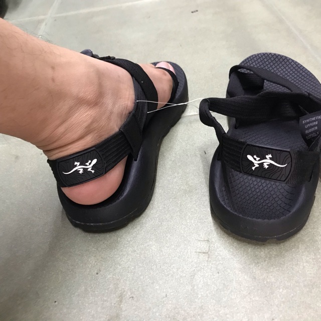 Chaco thằn lằn xỏ ngón
