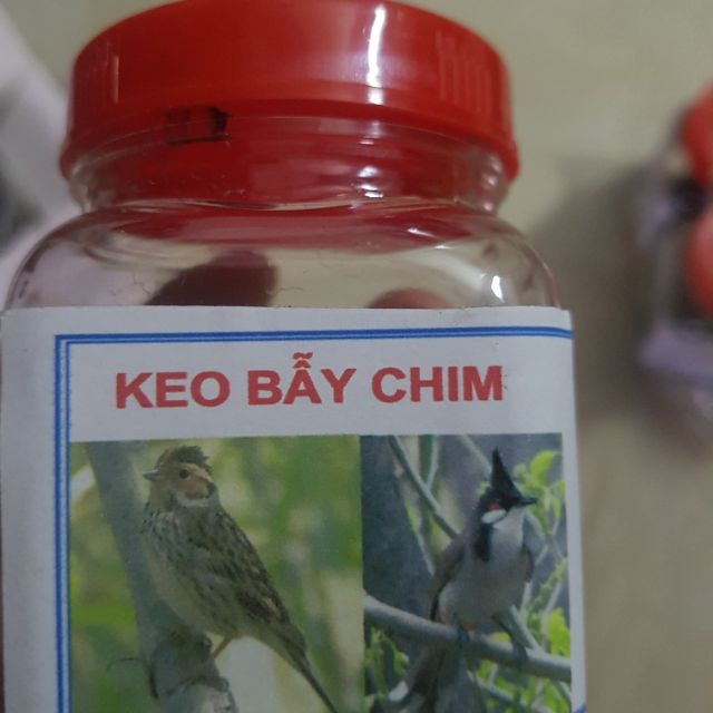 [Xả hàng] keo bẫy chim thái lan loại 1