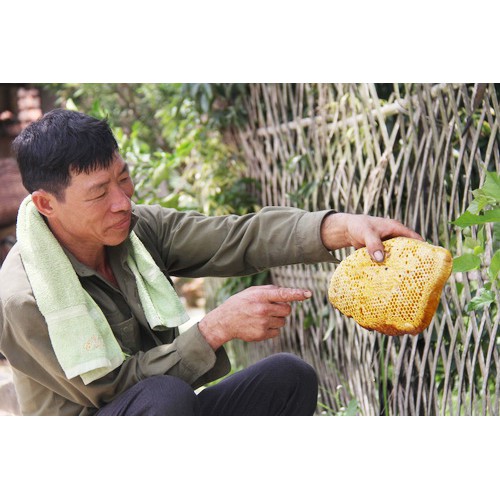 Mật Ong Khoái Chuẩn Rừng Già 0.5Lít