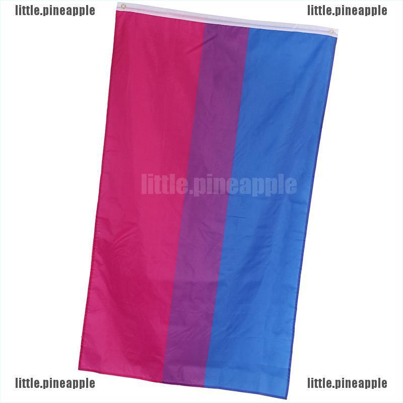 Cờ Lgbt Kích Thước