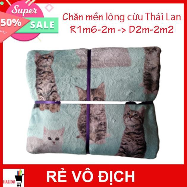 [XẢ KHO 3 MẪU] - Chăn Mền Lông Cừu Thái Lan Cao Cấp – Họa tiết dễ thương – KT: R1m6 -> D2m – TL: 500->700 – HALIDO